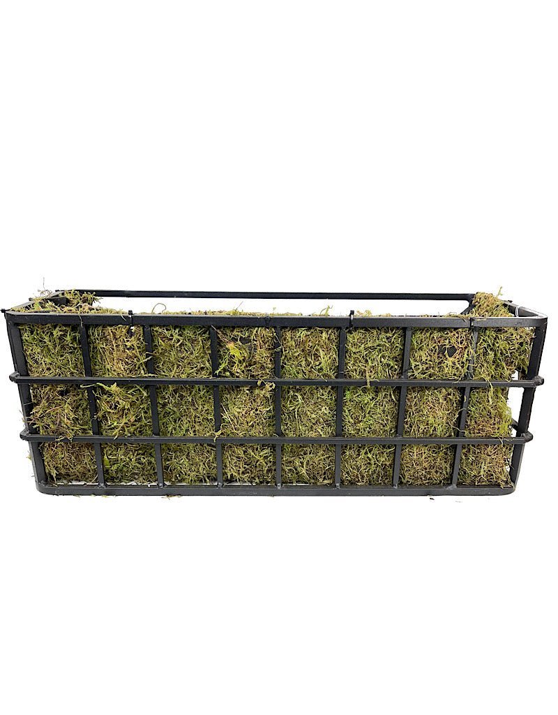 Passion Window Box Kit – The Garden Corner