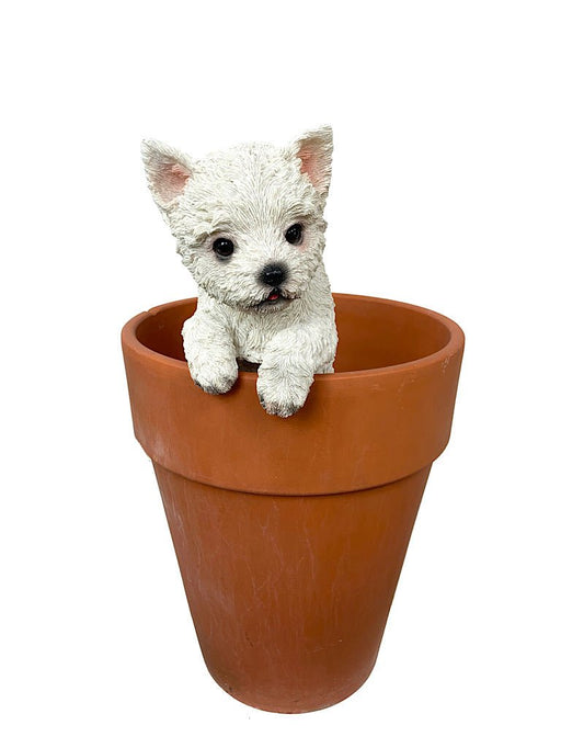 Hang on Westie - The Garden Corner