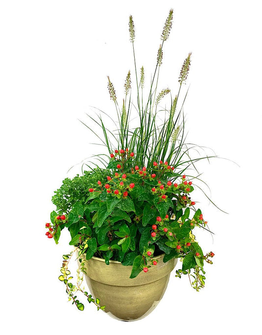 GC Exclusive 2 - The Garden Corner