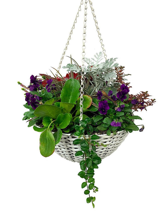 Hanging Garden 43 - The Garden Corner