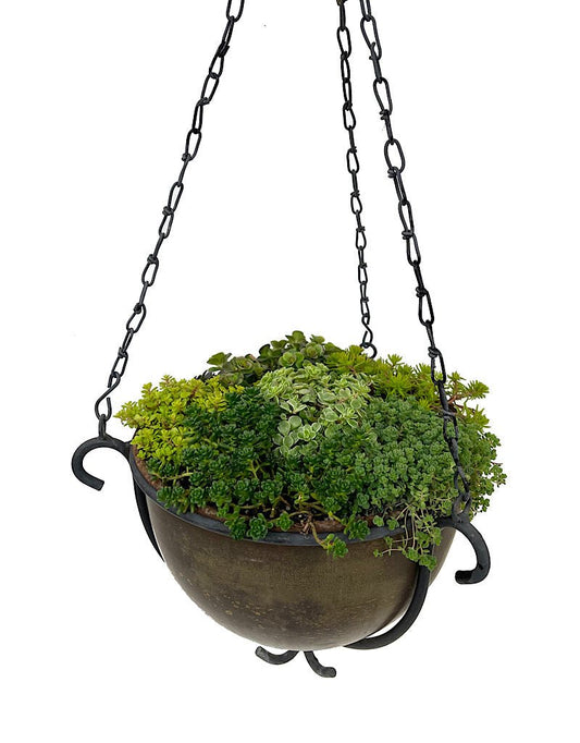 Hanging Garden 55 - The Garden Corner