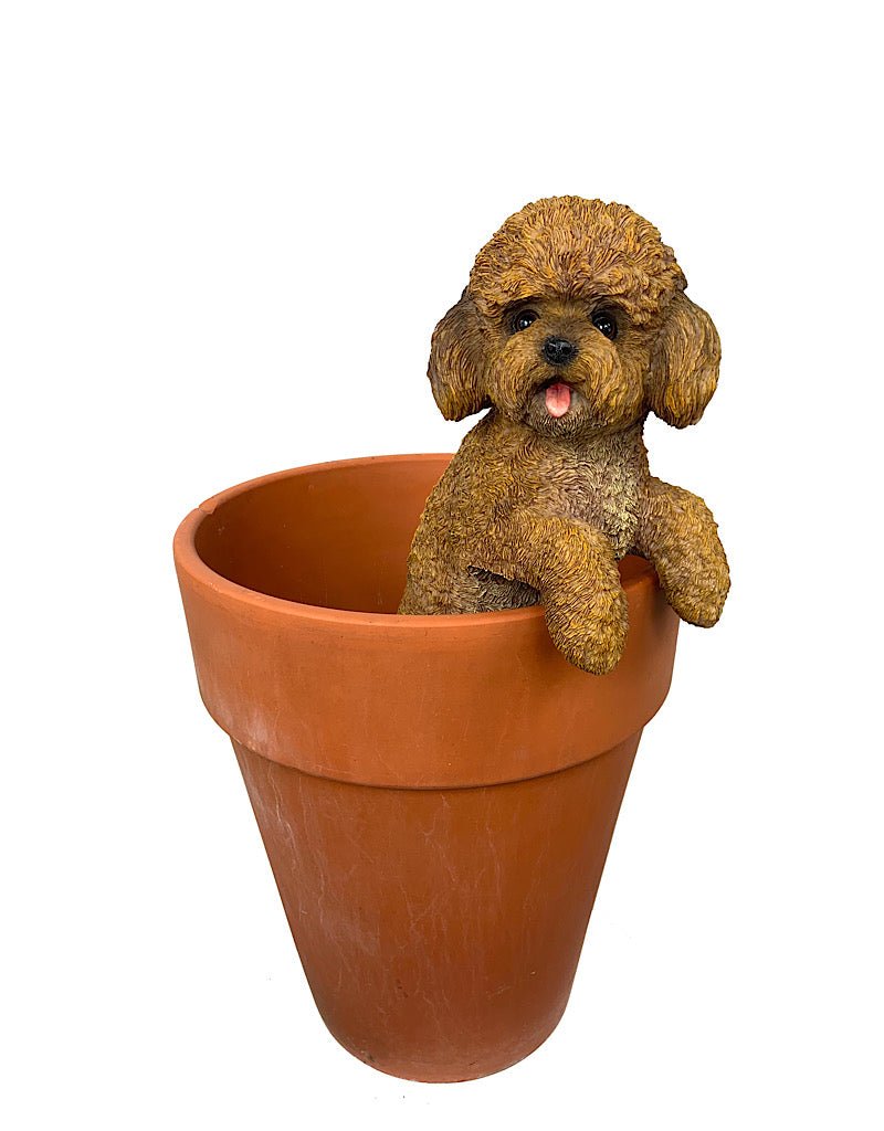Cockapoo Plant Stand Hang on Cockapoo – The Garden Corner