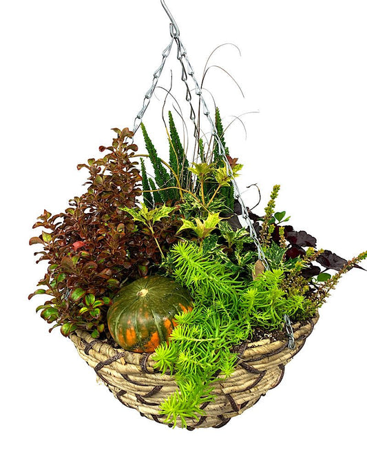 Hanging Garden 47 - The Garden Corner