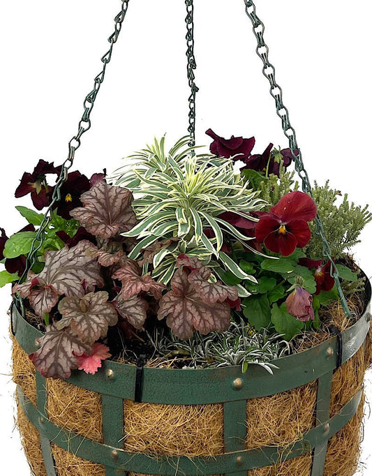 Hanging Garden 10 - The Garden Corner