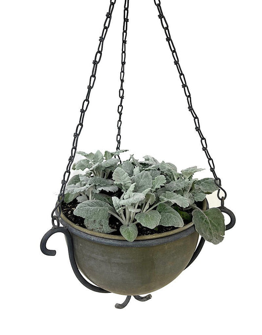 Hanging Garden 52 - The Garden Corner