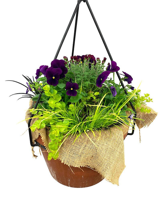 Hanging Garden 29 - The Garden Corner