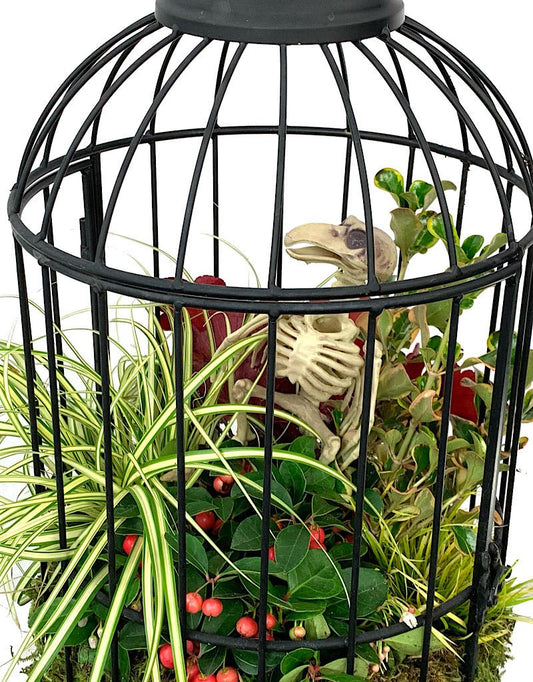 Hanging Garden 39 - The Garden Corner