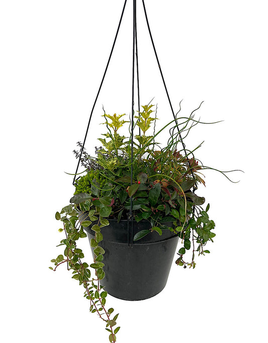 Fall Rebel Basket Workshop - 9/13/25