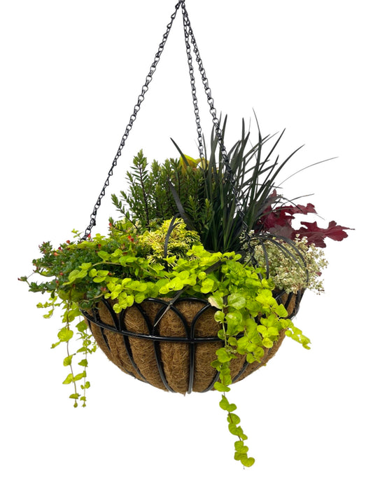 Hanging Garden 8 - The Garden Corner