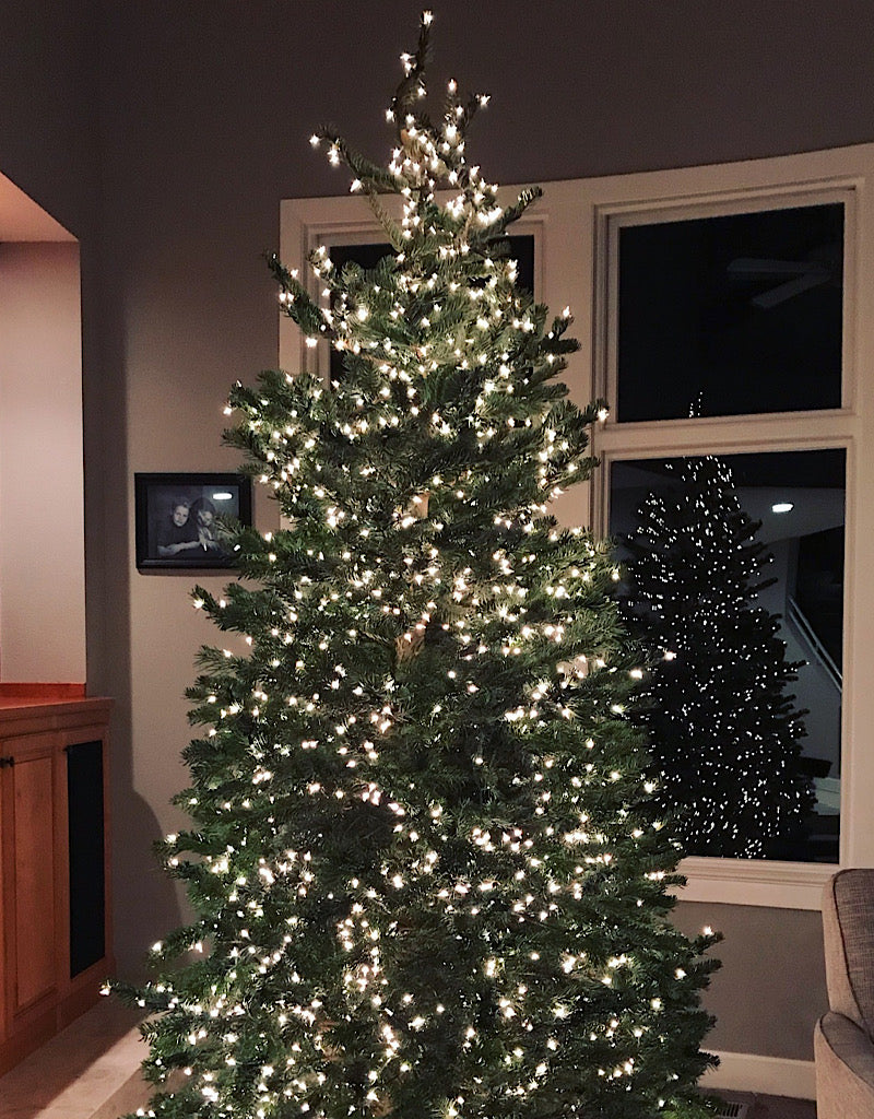 Christmas Tree Lighting Service