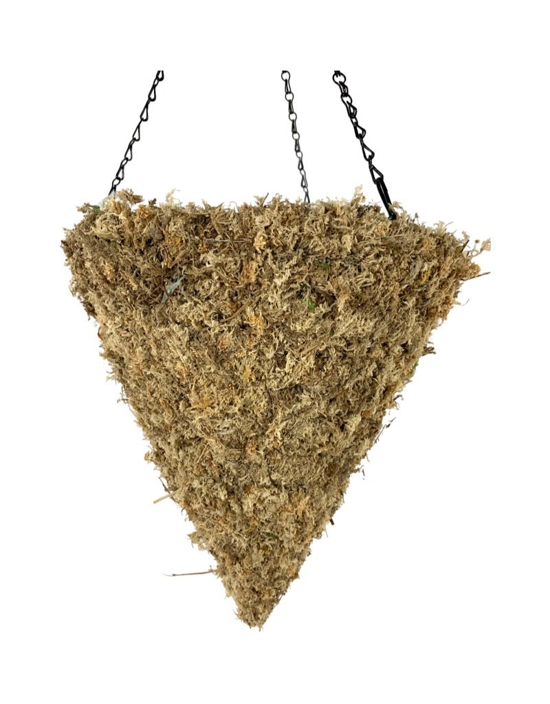 Moss Hanging Cone Blonde 14 Inch