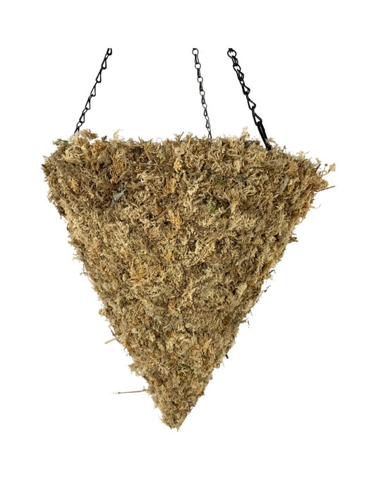 Moss Hanging Cone Blonde 14 Inch