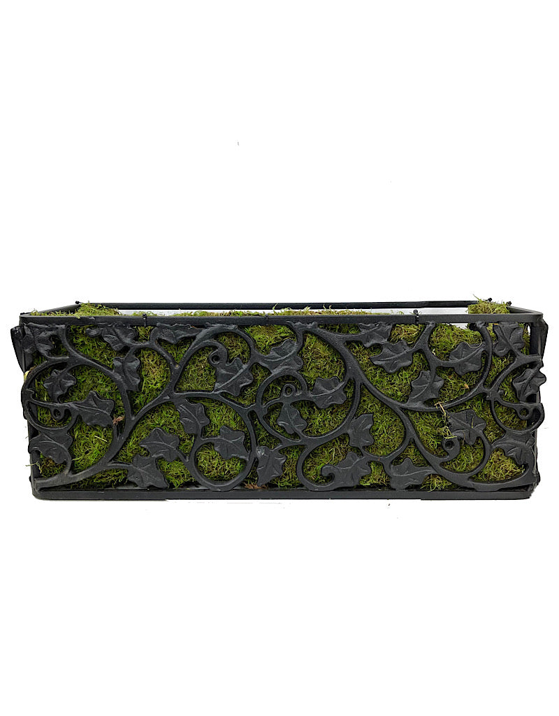 Passion Window Box Kit