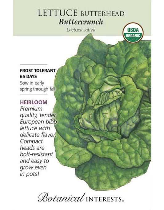 Lettuce Butterhead 'Buttercrunch' Seed Pack