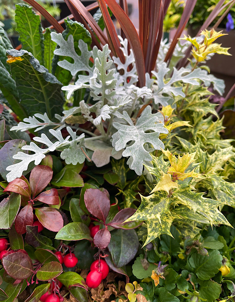 Passion Basket Year Round Subscription