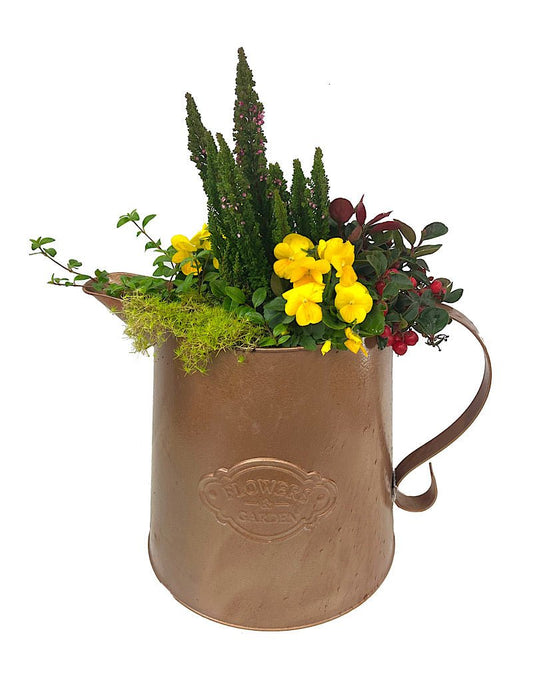 GC Exclusive 3 - The Garden Corner