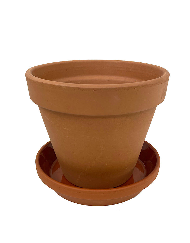 Glazed Terracotta Saucer