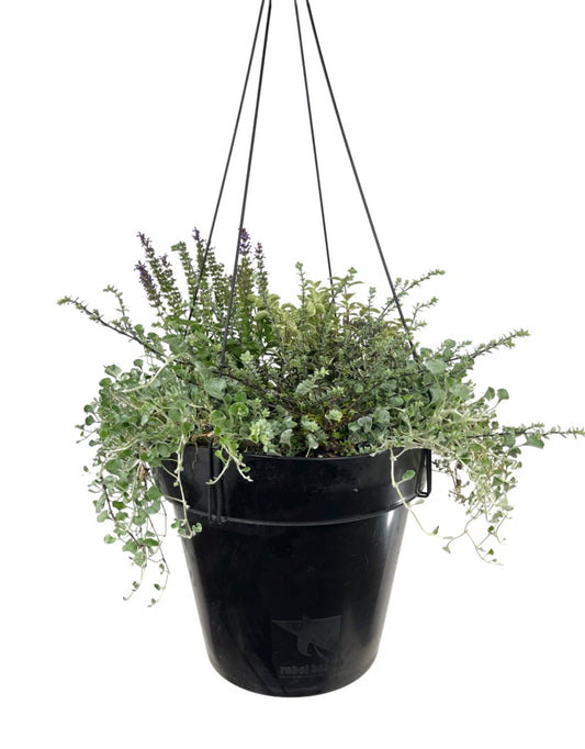 Hanging Garden 3 - The Garden Corner