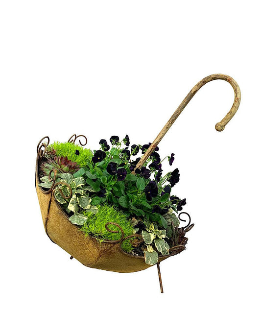 GC Exclusive 8 - The Garden Corner