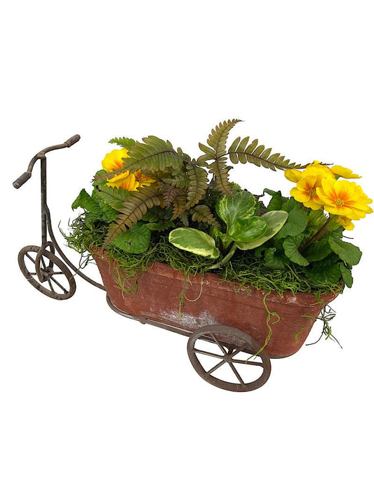 GC Exclusive 12 - The Garden Corner