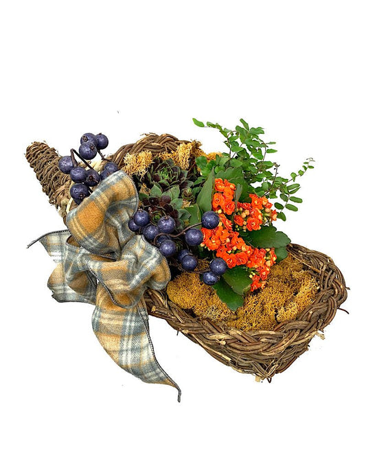 GC Exclusive 17 - The Garden Corner