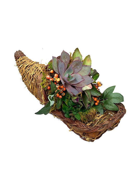 GC Exclusive 15 - The Garden Corner