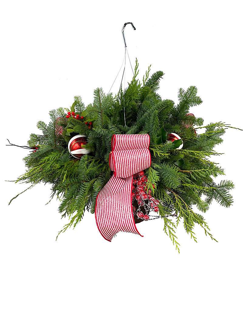 Hanging Garden 25 - Christmas Greens