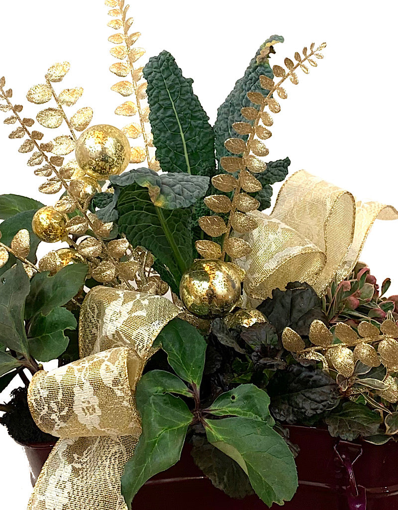 GC Exclusive 14 - Planters