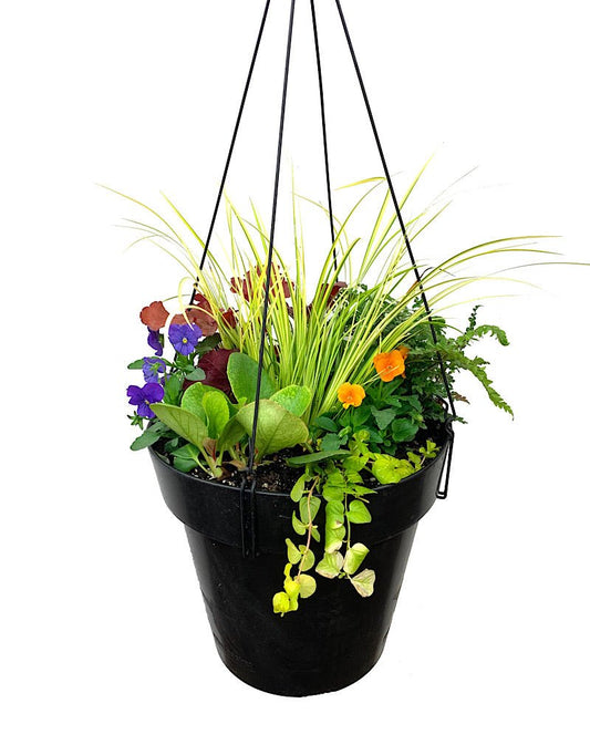 Hanging Garden 23 - The Garden Corner