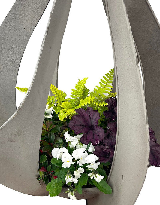 GC Exclusive 7 - The Garden Corner