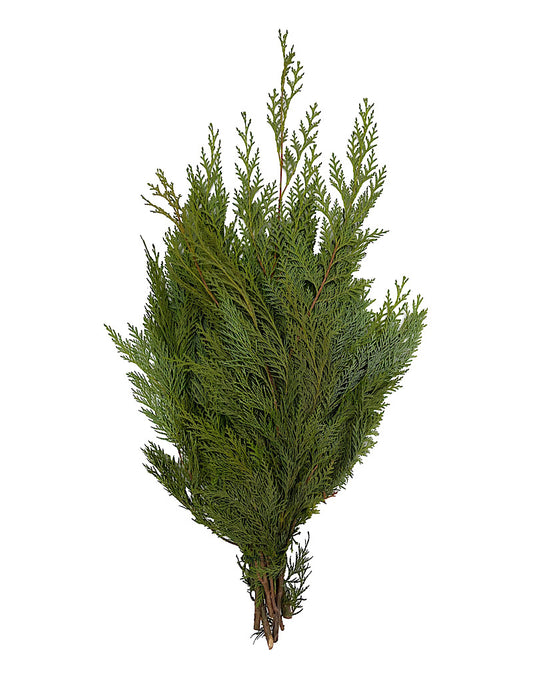 Premium Greenery Bundles