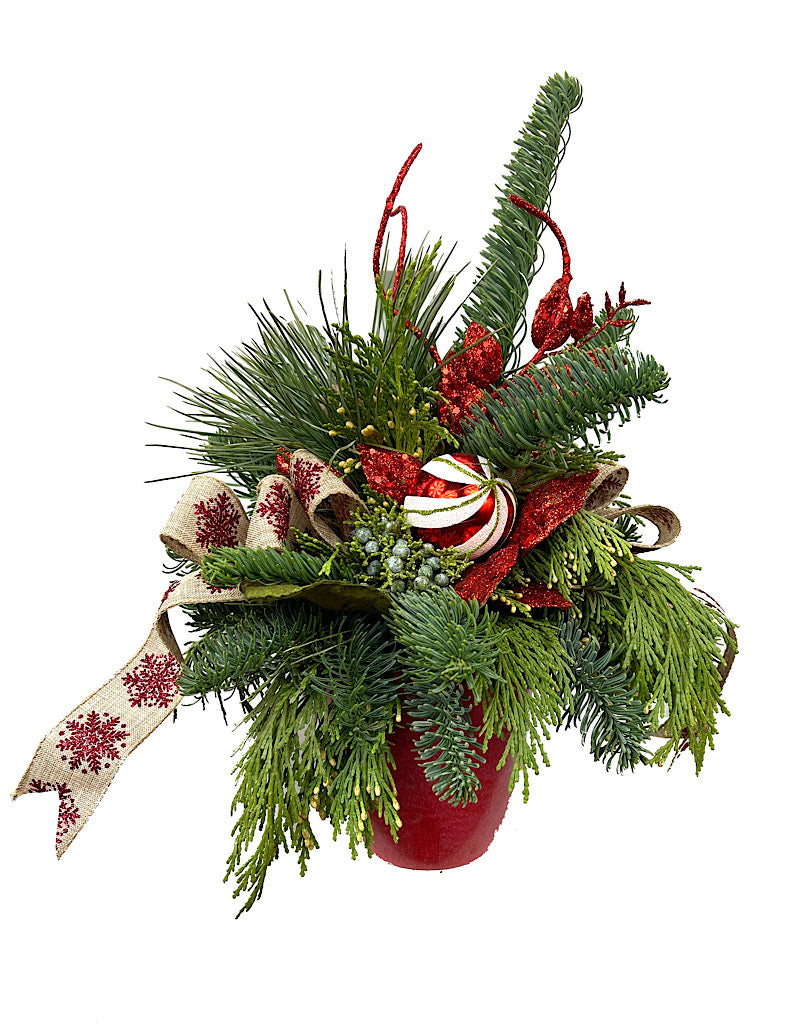 Designer Holiday Planter #2 - Christmas Greens