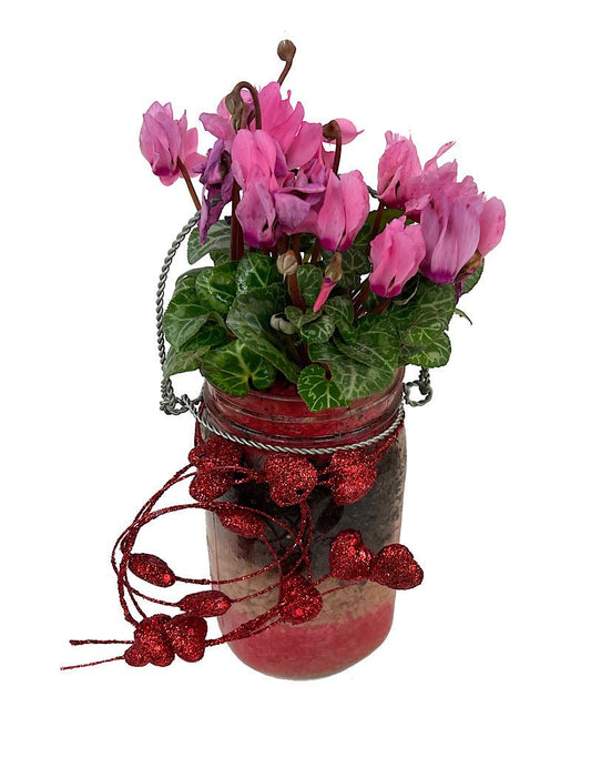 GC Exclusive 10 - The Garden Corner