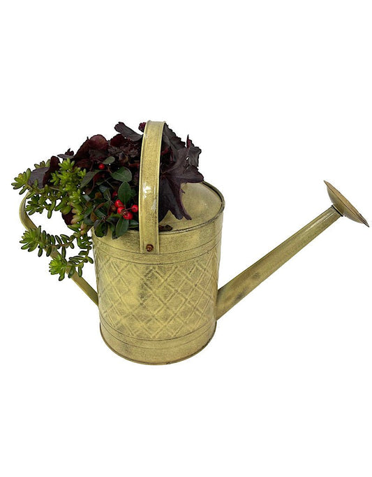 GC Exclusive 1 - The Garden Corner