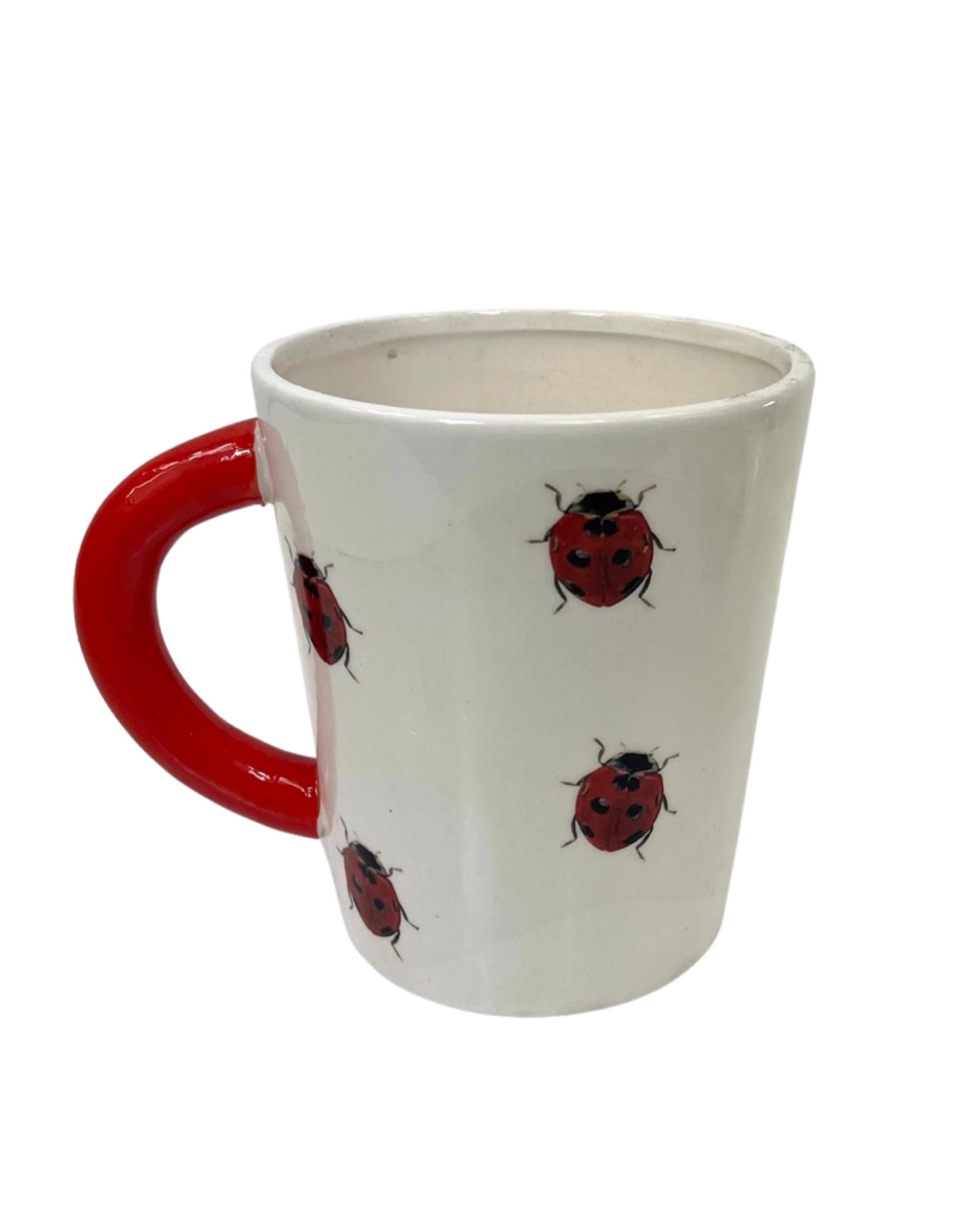 Bug Mug Planter