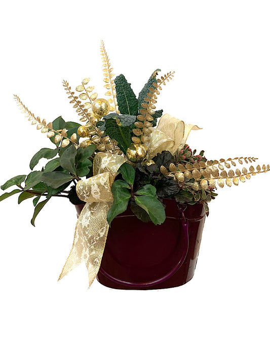 GC Exclusive 14 - Planters