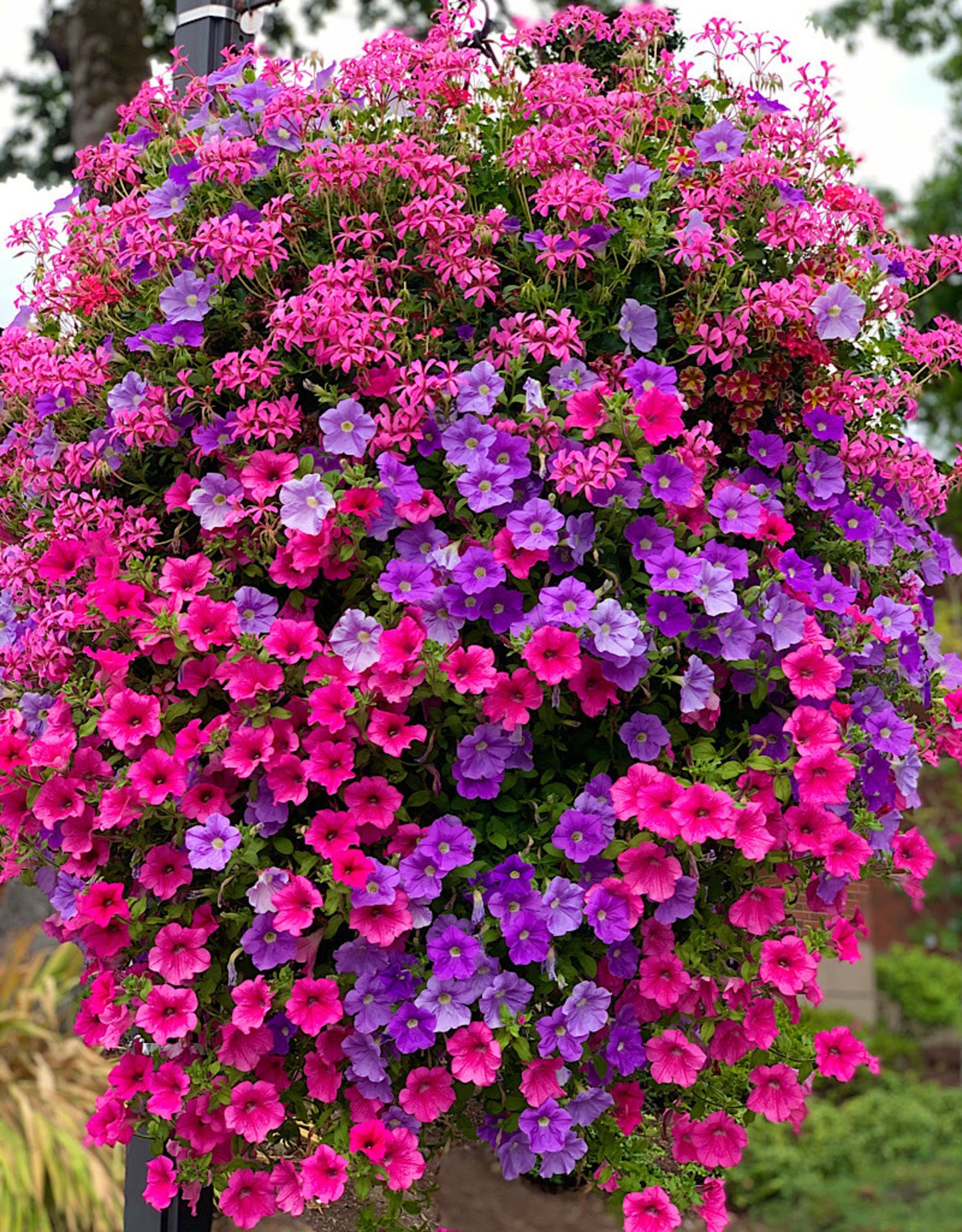 Passion Basket Year Round Subscription