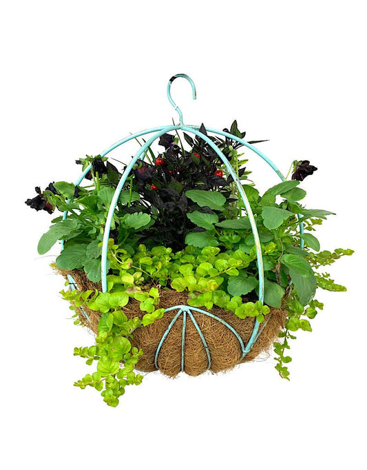 Hanging Garden 33 - The Garden Corner