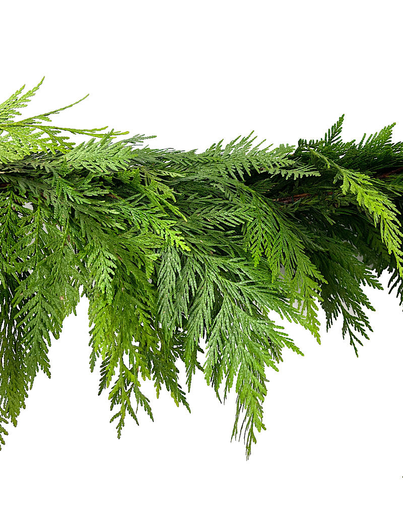 Cedar Garland 1 Foot