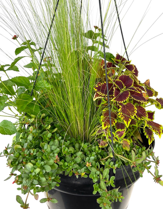 Hanging Garden 4 - The Garden Corner