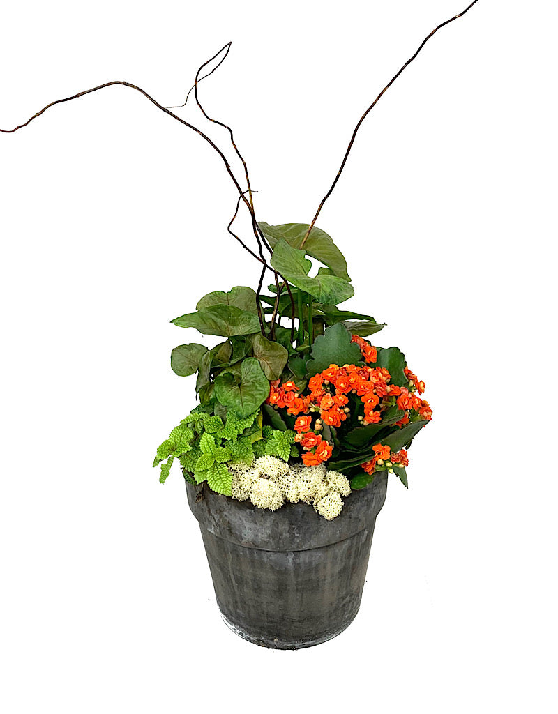 GC Exclusive 11 - Planters