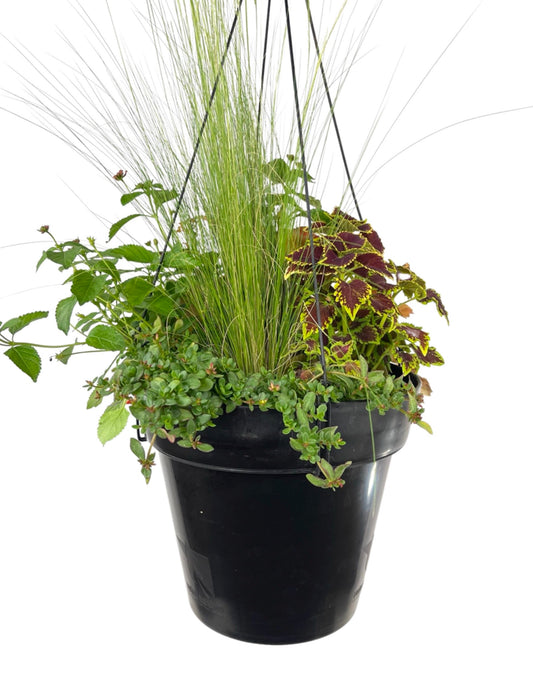 Hanging Garden 4 - The Garden Corner