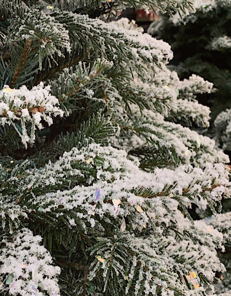 Christmas Tree Flocking Service - Christmas Trees