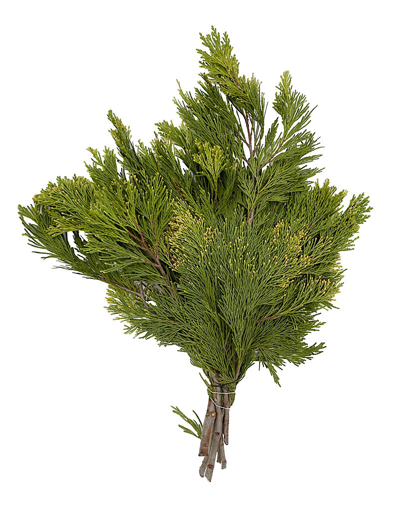 Premium Greenery Bundles