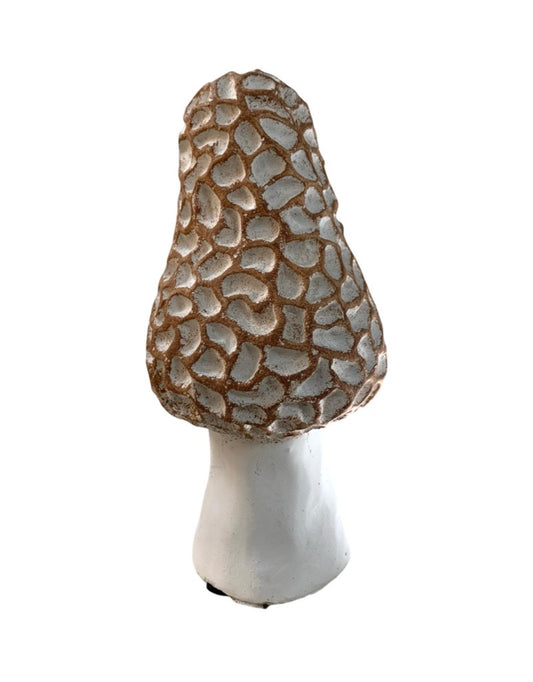 Concrete Morel Mushroom