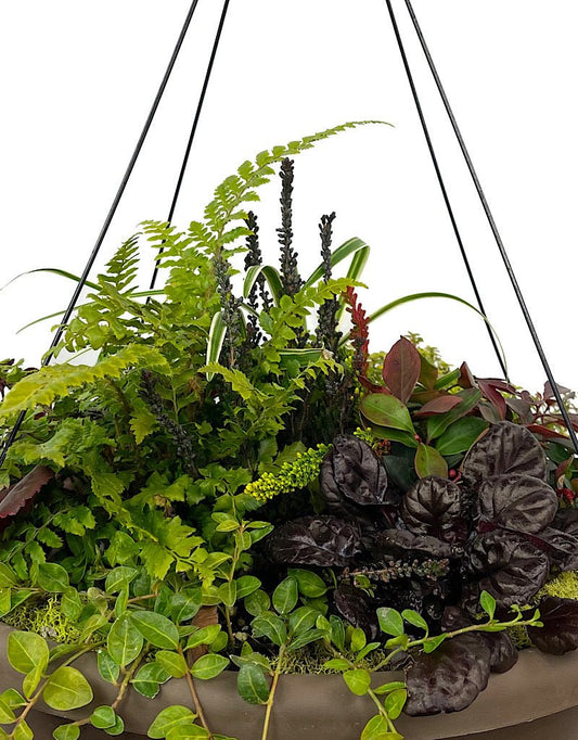 Hanging Garden 16 - The Garden Corner