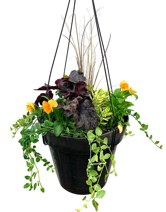 Hanging Garden 13 - The Garden Corner