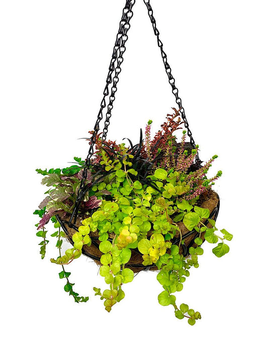 Hanging Garden 46 - The Garden Corner