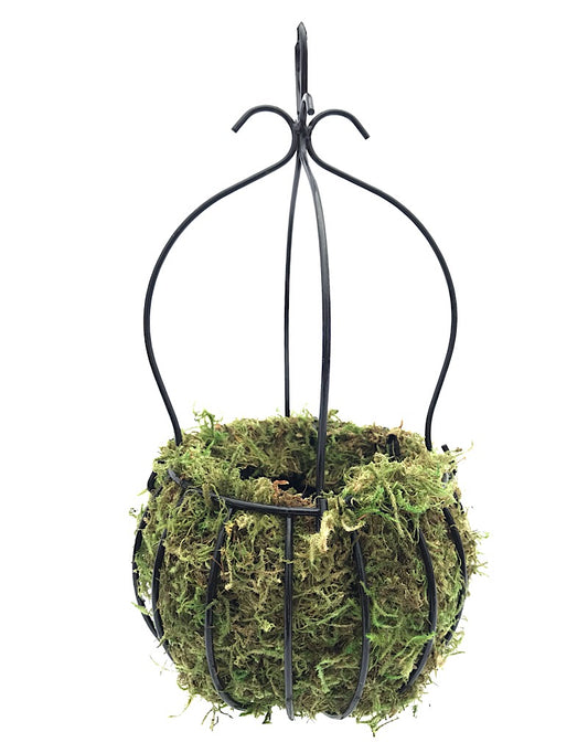 Crown Planter
