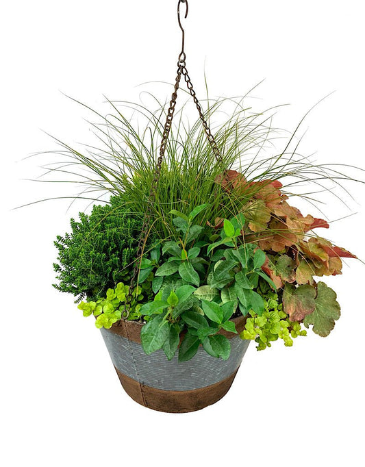 Hanging Garden 34 - The Garden Corner